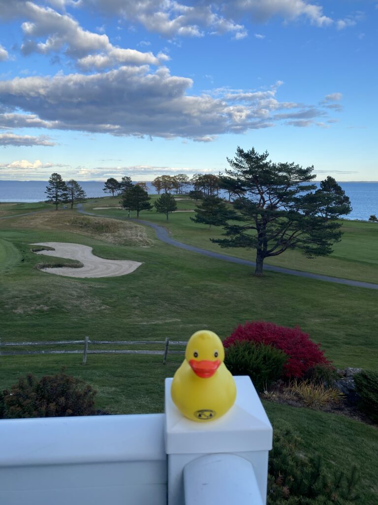 Give A Duck