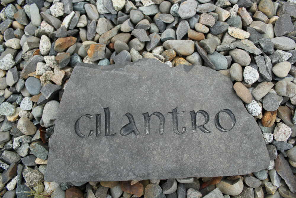 Stone Engraving