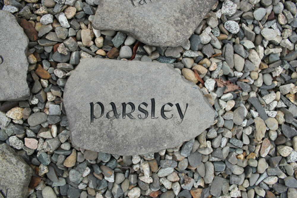 Stone Engraving