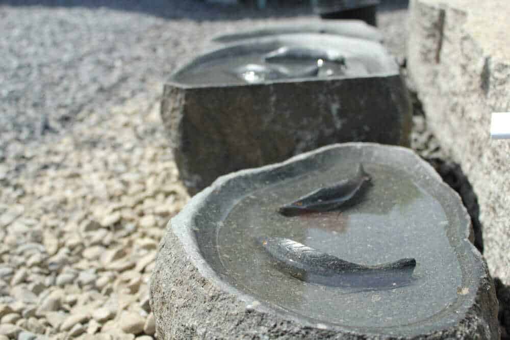 Bird Baths, Benches, Fire Pits & More
