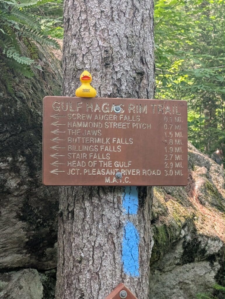 Give A Duck