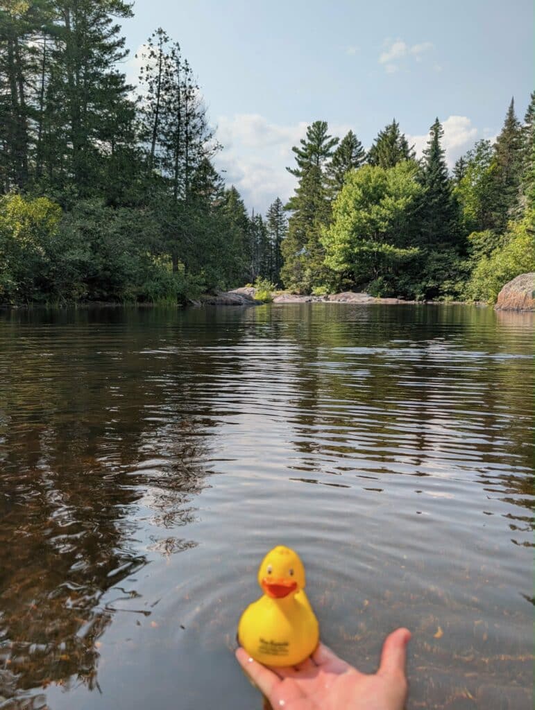 Give A Duck